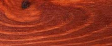 Foresta Rossa
