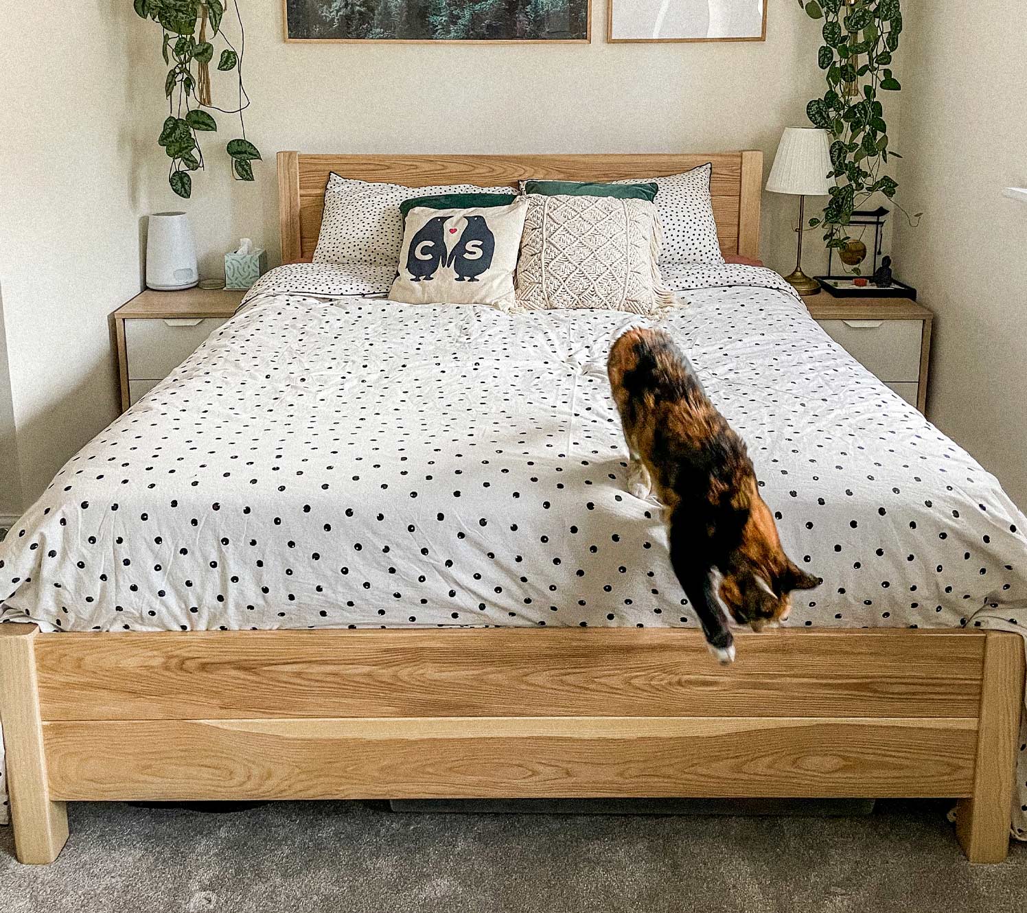 Colori chiari e idee di arredamento per camere da letto lunghe.