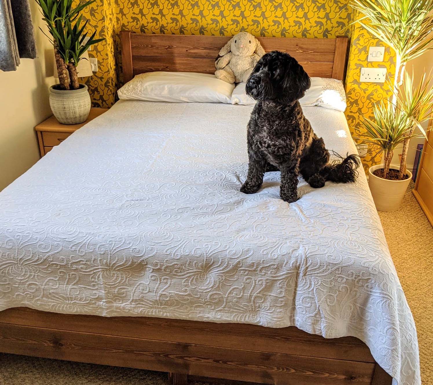 Design per una camera da letto piccola: Meno contrasto, più continuità